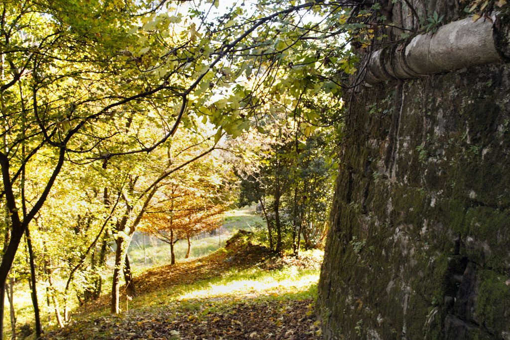 Parco del castello di Gorizia