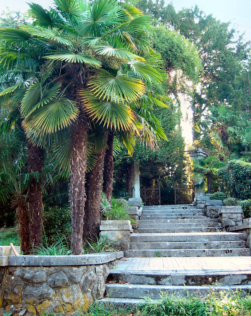 Parco Coronini Cronberg