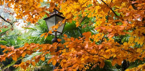 Autunno a Gorizia © Annalisa Secchi